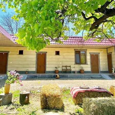 Aghasu Tun B&B Odzun Buitenkant foto