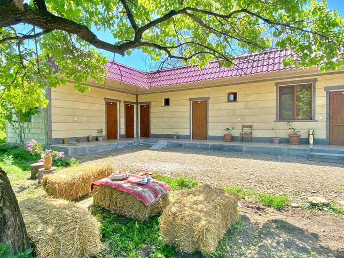 Aghasu Tun B&B Odzun Buitenkant foto